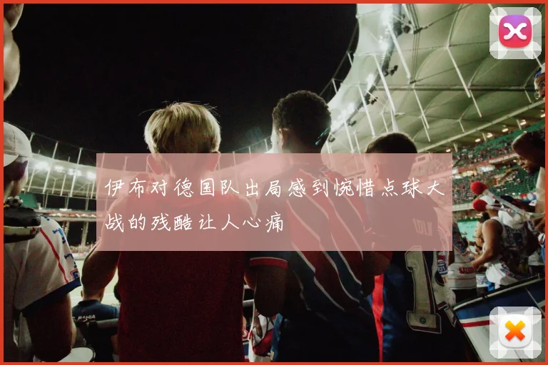 伊布对德国队出局感到惋惜点球大战的残酷让人心痛